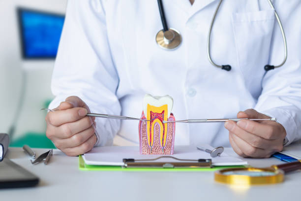 Best Knocked-Out Tooth Emergency  in Napa, CA
